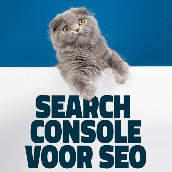 Google Search Console voor SEO